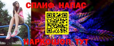 сатива Будённовск