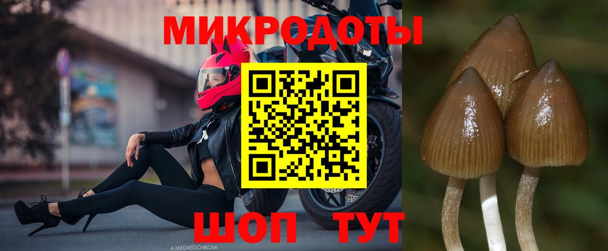 Ноябрьск  Псилоцибиновые грибы Psilocybe  как найти   Вход с VPN 