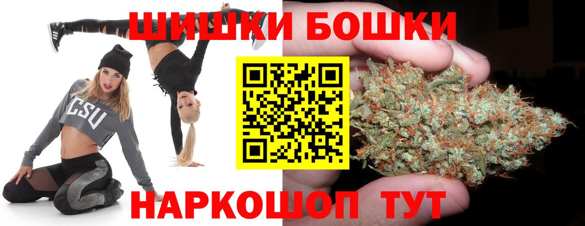 Конопля сатива Ноябрьск